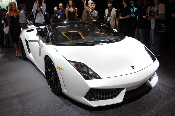 Lamborghini Gallardo LP 560 Black