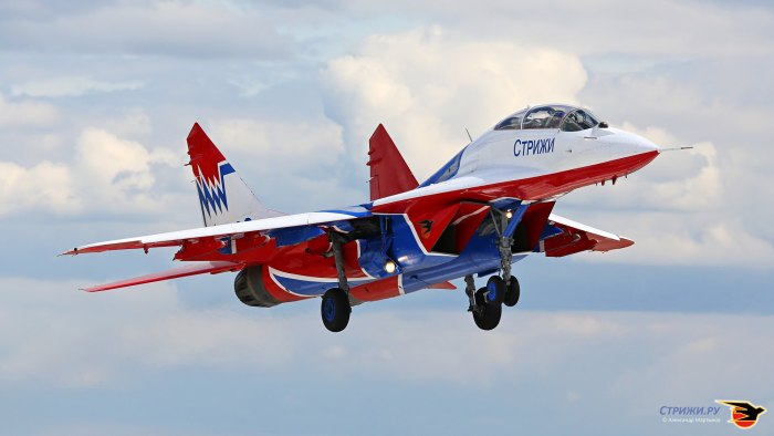 Самолет стриж