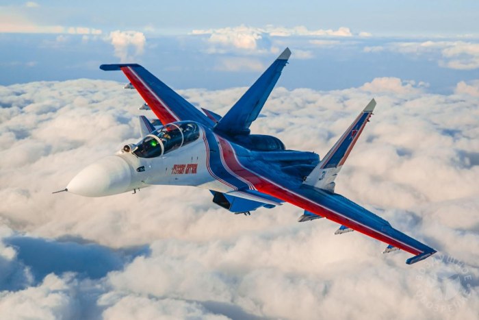 Су-30 русские Витязи