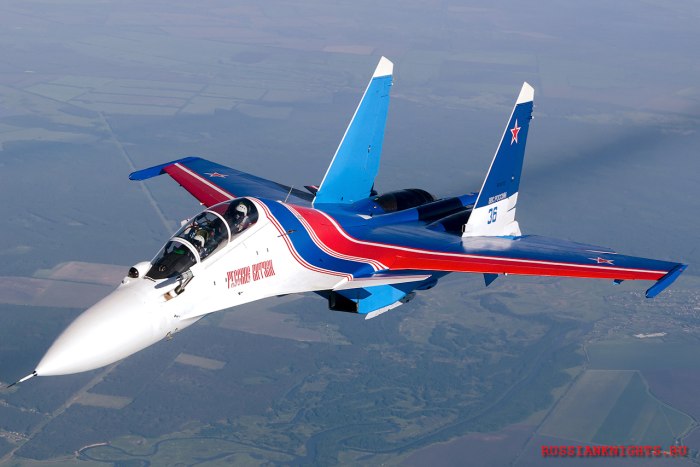 Су 30 Стрижи