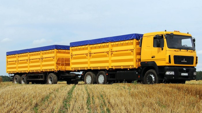 МАЗ 6501а8 Колос