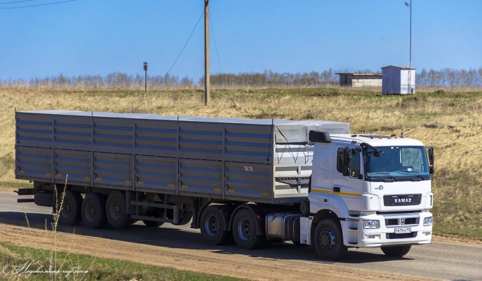 КАМАЗ 5490 зерновоз