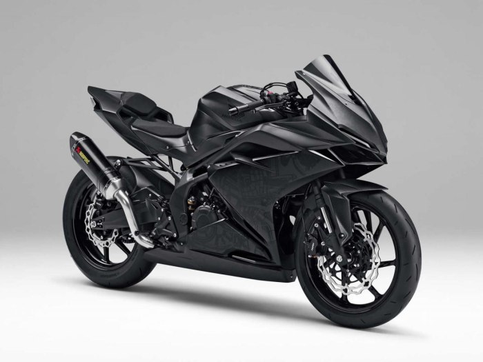 Спортивный мотоцикл Honda CBR 250 RR