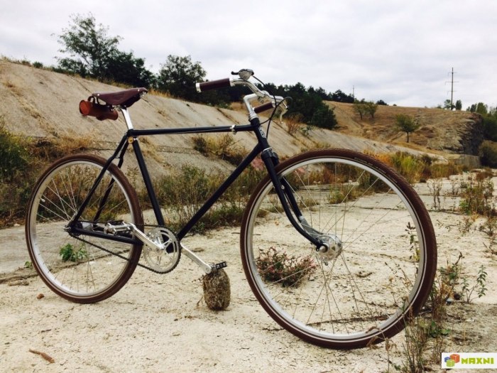 Gazelle Bicycle