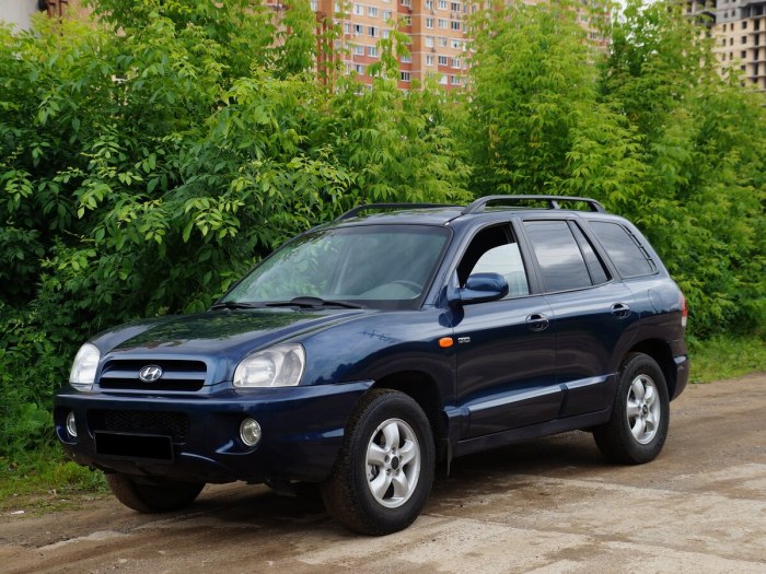 Hyundai Santa Fe Classic, 2002