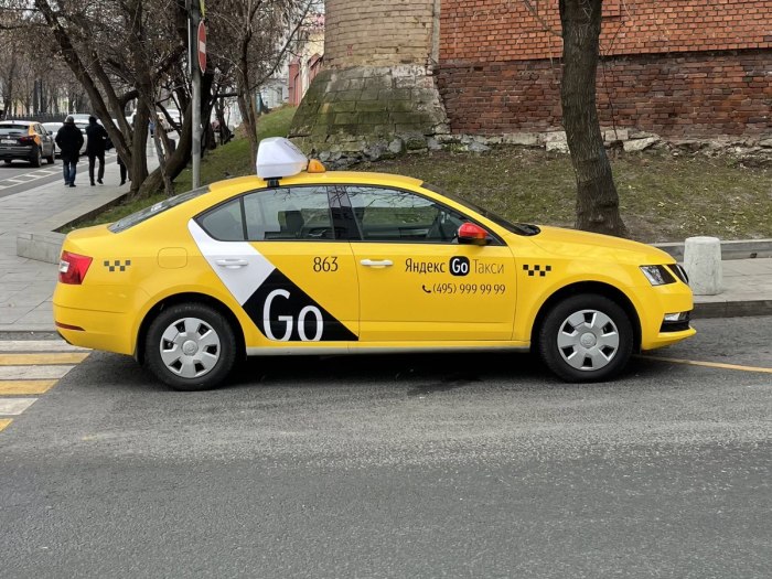 Такса в машине