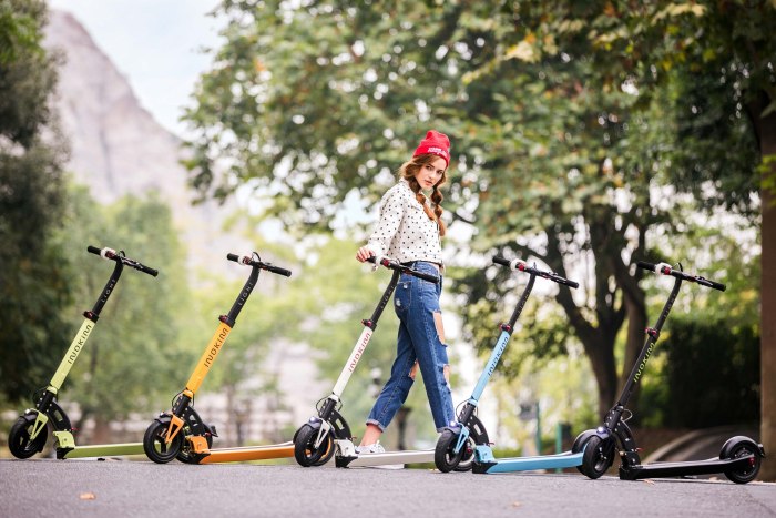 Electric Kick Scooter