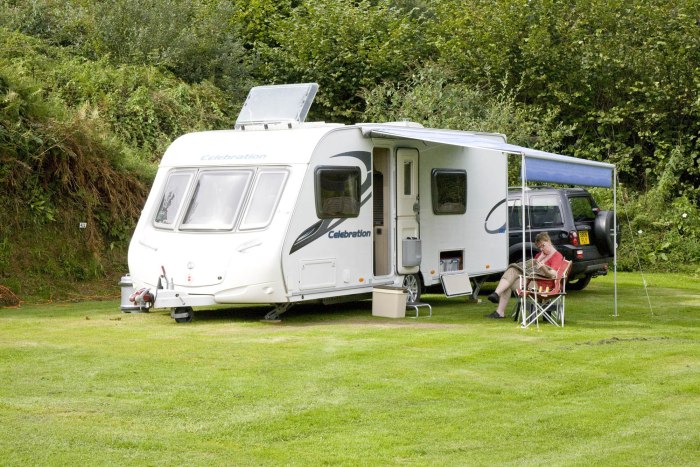 W.Caravan автодом