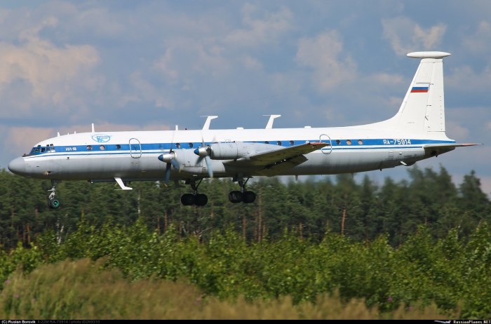Ил 22 Бизон