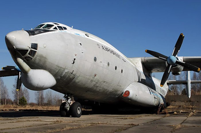 АН 22 амфибия