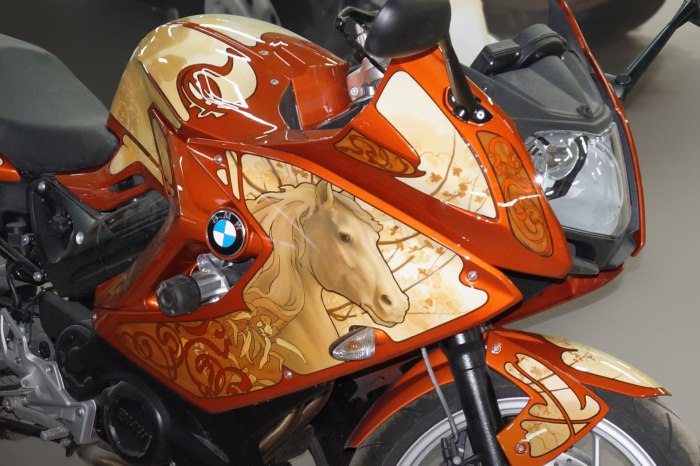 Аэрография мотоцикла BMW