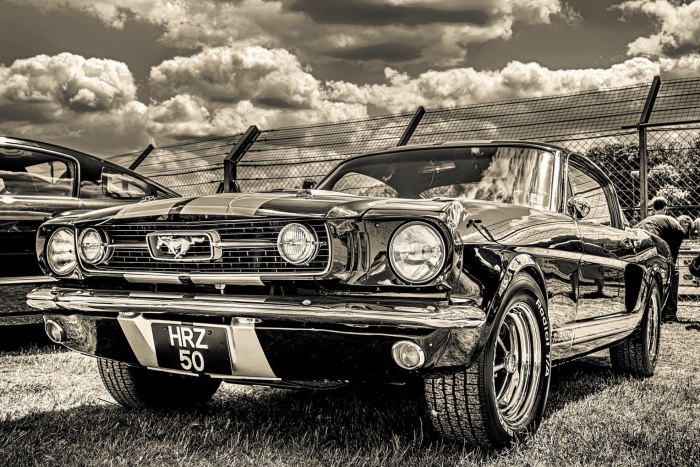 Форд Мустанг Shelby 1965