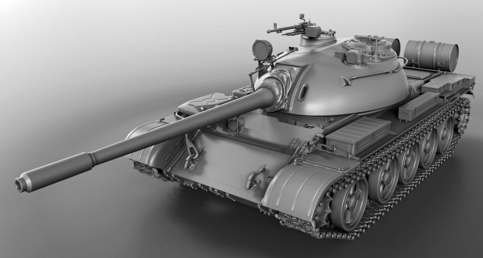 T55 WT