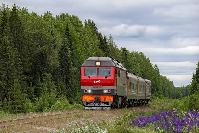 Река Озерница Кировская область