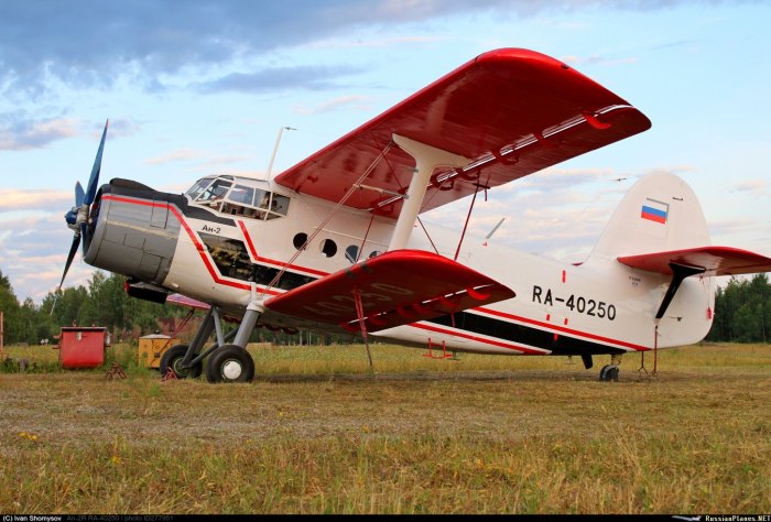 АН 40