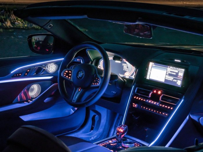 BMW g60 Ambient Light