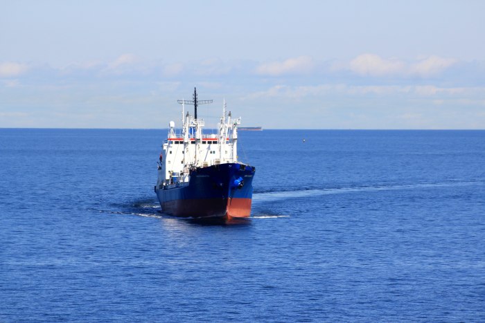 Сухогрузы морские