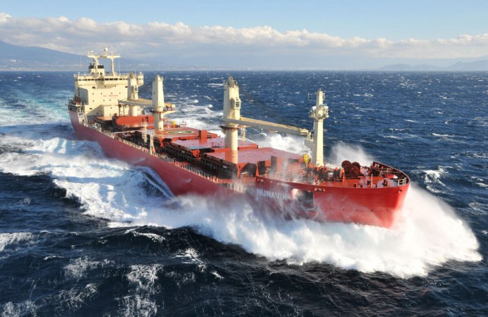 Балкеры (Bulk Carriers