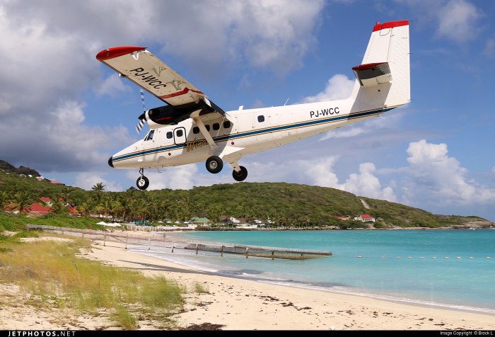 DHC 6-300