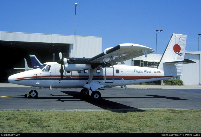 DHC-6 Twin
