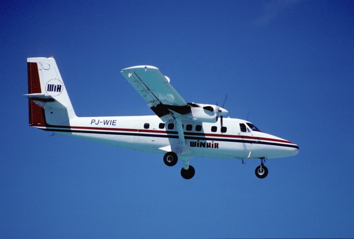 DHC 6-300