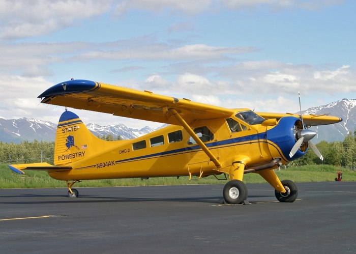 Самолет DHC-2 beaver