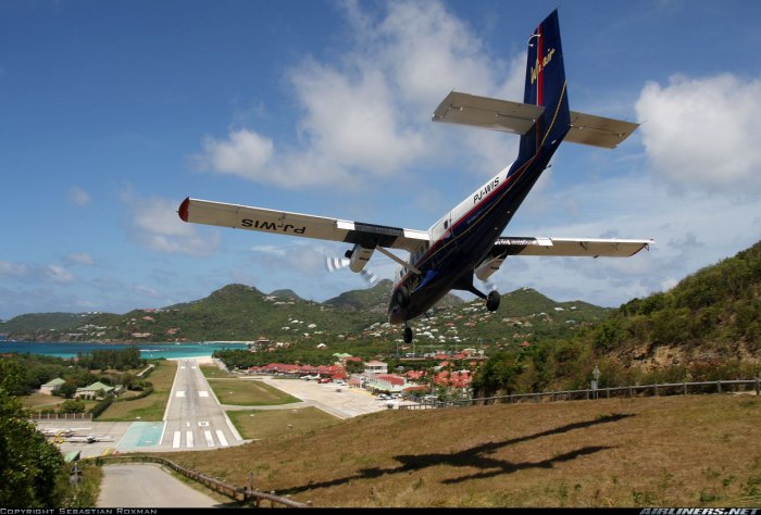DHC 6-300