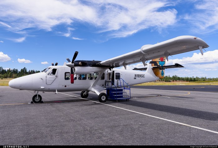 DHC 6-300