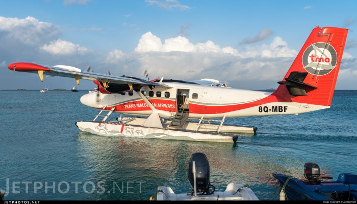DHC 6-300