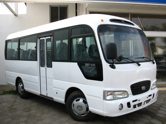 Hyundai County Deluxe
