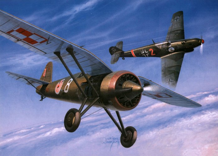 PZL P.11 самолет
