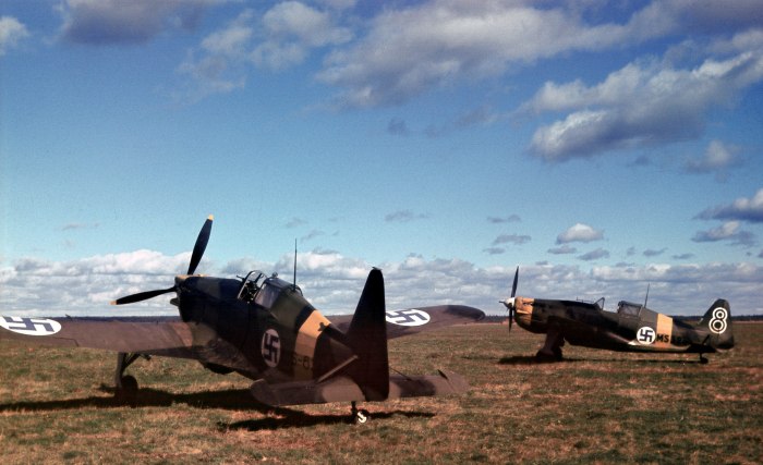 Истребитель Morane-Saulnier m.s.406