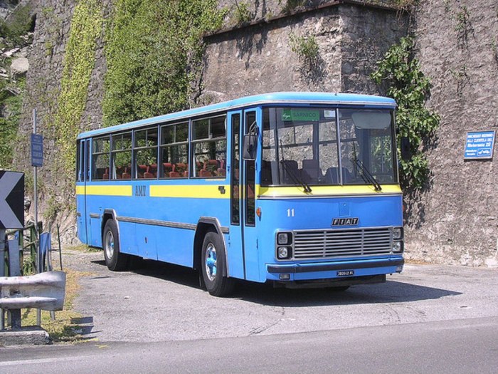 Fiat Bus