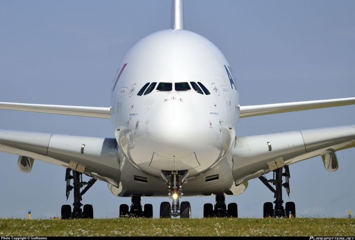 Airbus a380 ЛТХ