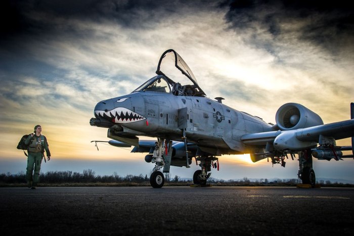 Бородавочник самолет а-10