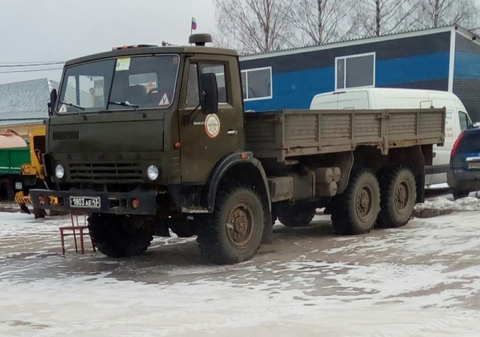 КАМАЗ 4310 Wol