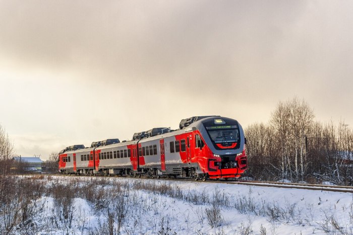 Рельсовый автобус Орлан