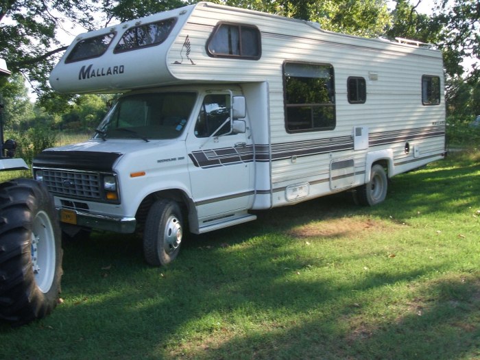 Ford Econoline 2006