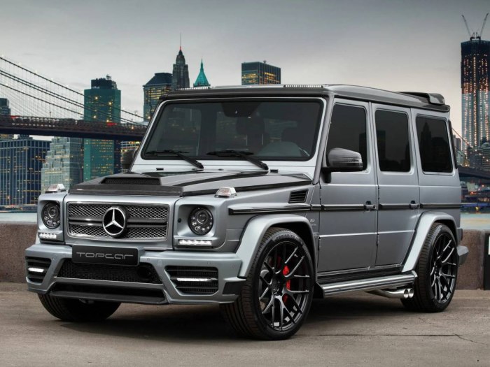 Mercedes-Benz g65 AMG w463