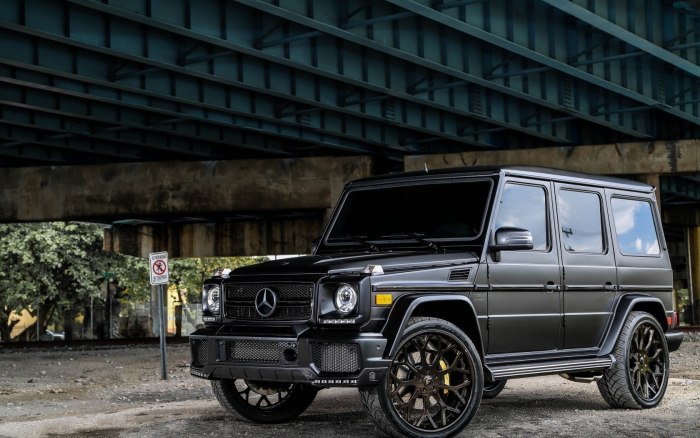 Mercedes Benz g63 Brabus