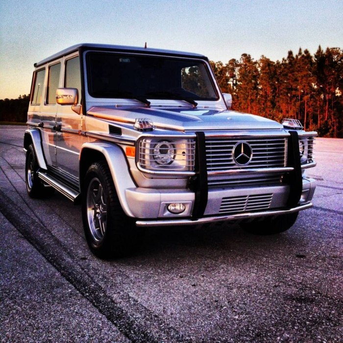 Mercedes-Benz g-class g 55 AMG