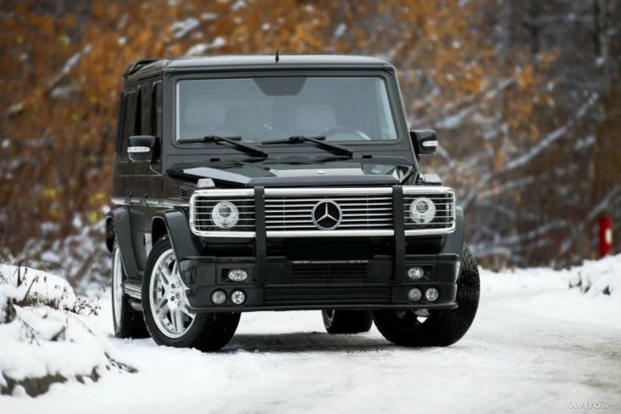 Mercedes Benz Gelik
