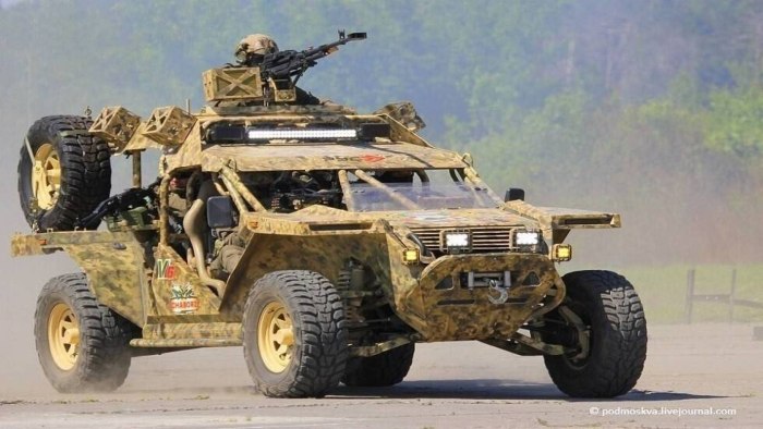 Багги Чаборз м-3