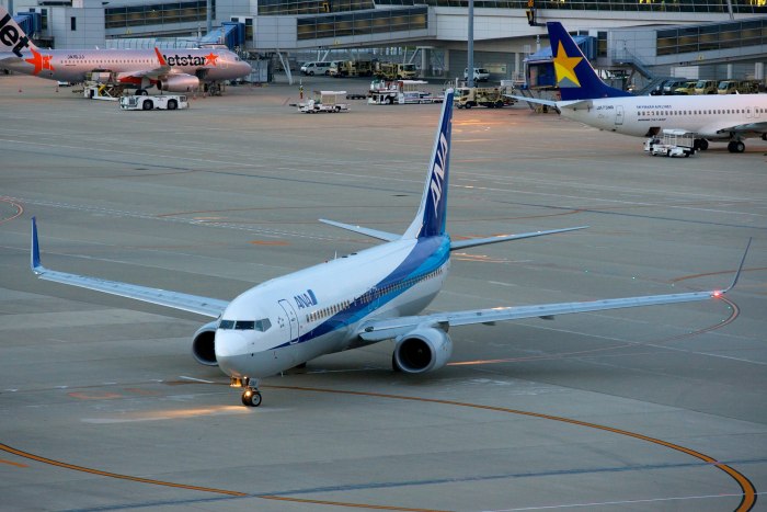 Самолёт Боинг 737-800