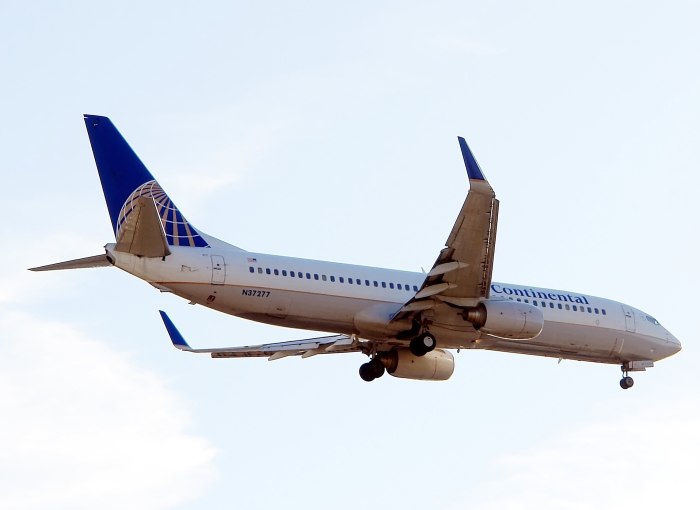 Самолёт Боинг 737-800 Винглетс