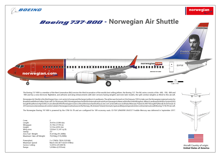 Boeing 737-800 вид сбоку