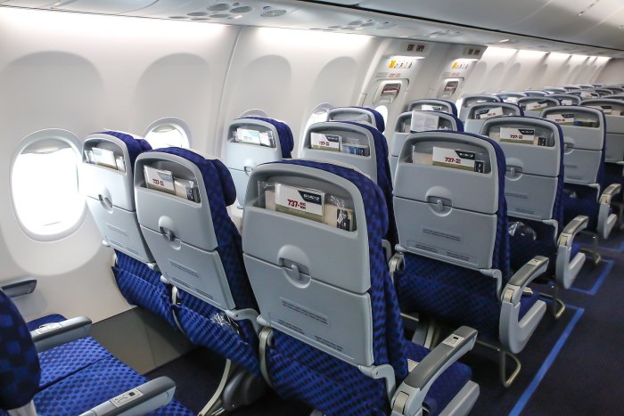 Боинг 737 салон эконом класса