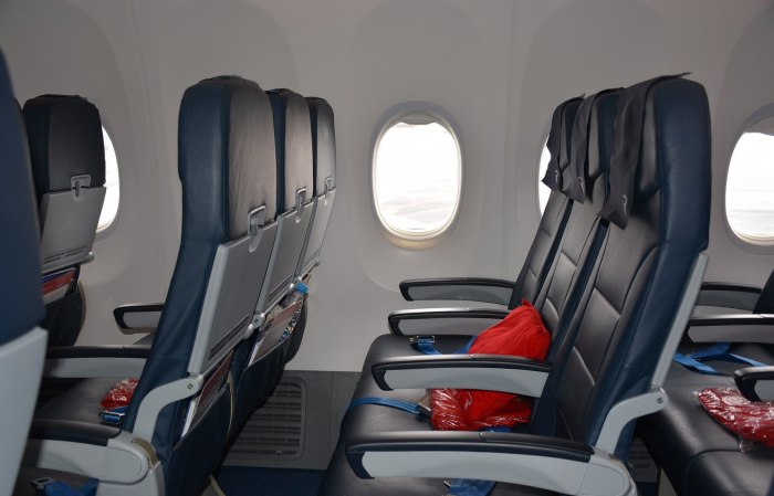 Боинг 737-800 Россия салон