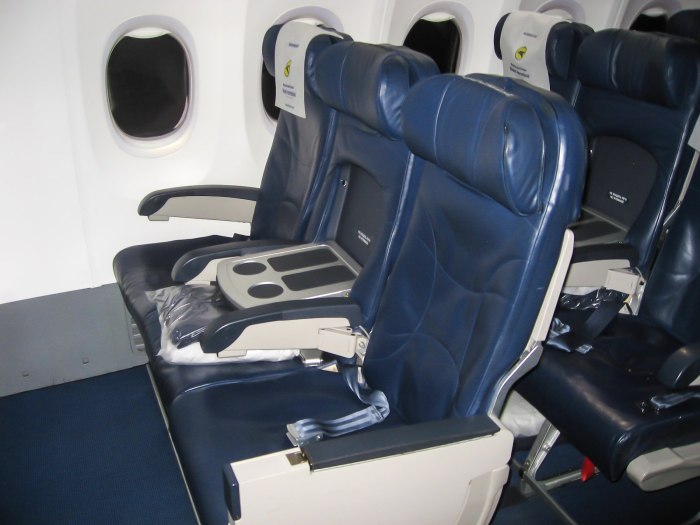 Боинг 737-800 бизнес класс