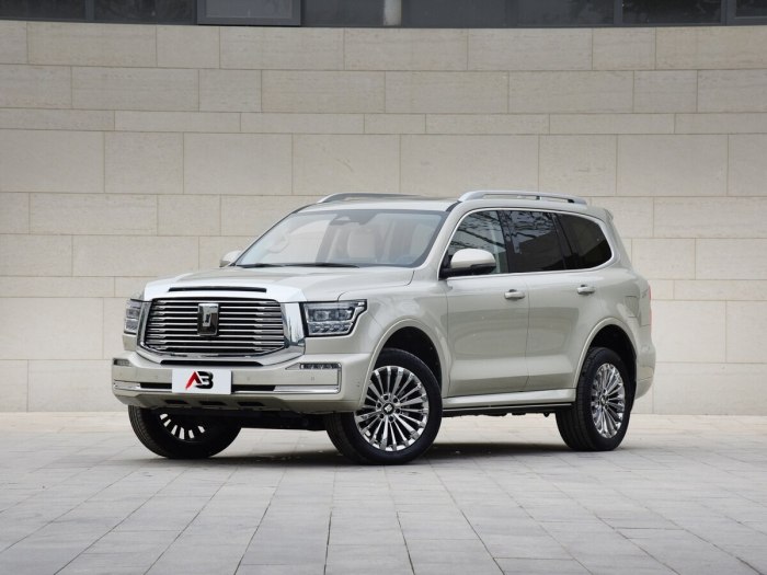 Land Cruiser 300 2023